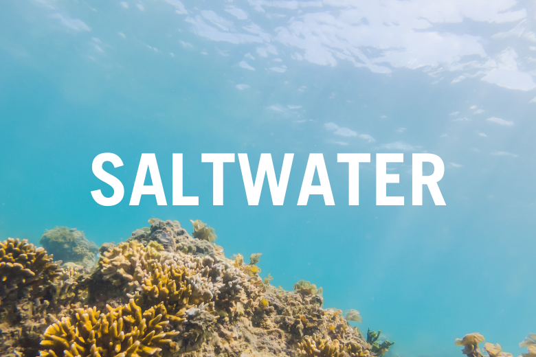 Aqua-Vu Saltwater Cameras